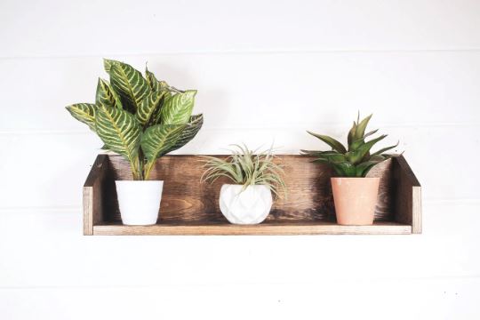 Plant Shelf, Plant Holder, Wall Shelf, Plants Native Range 