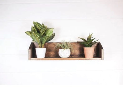 Elevate Your Plant Game with a Plant Shelf