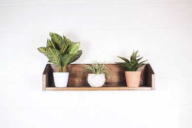 Plant Shelf, Plant Holder, Wall Shelf, Plants Native Range 