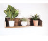 Plant Shelf, Plant Holder, Wall Shelf, Plants Native Range 