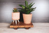 Wooden Counter Tray Native Range 