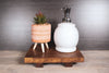Wooden Counter Tray Native Range 